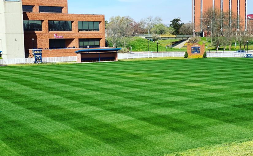murray state